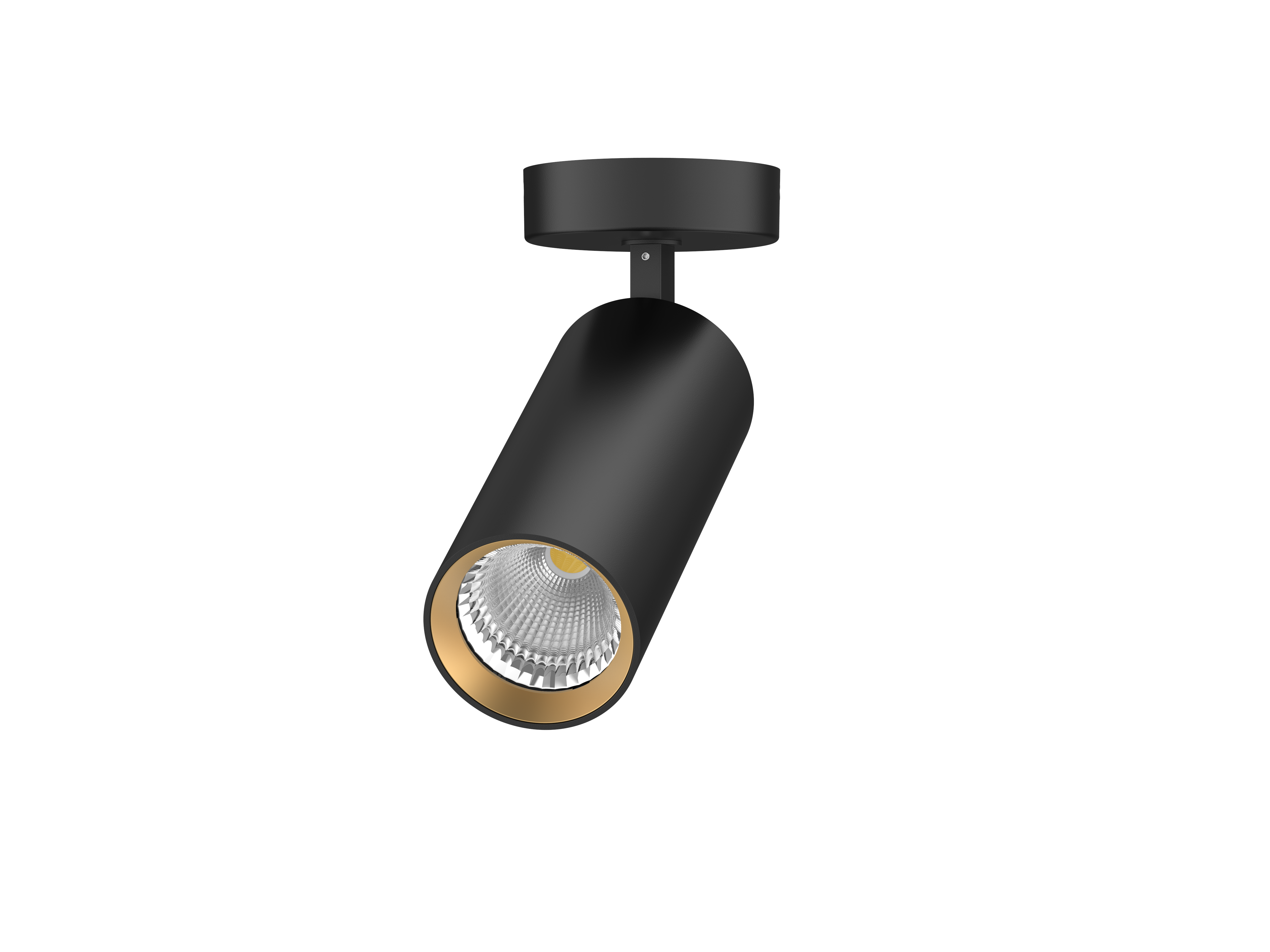 PROPUS Ø65 plafondrozet + pendel vast zwart