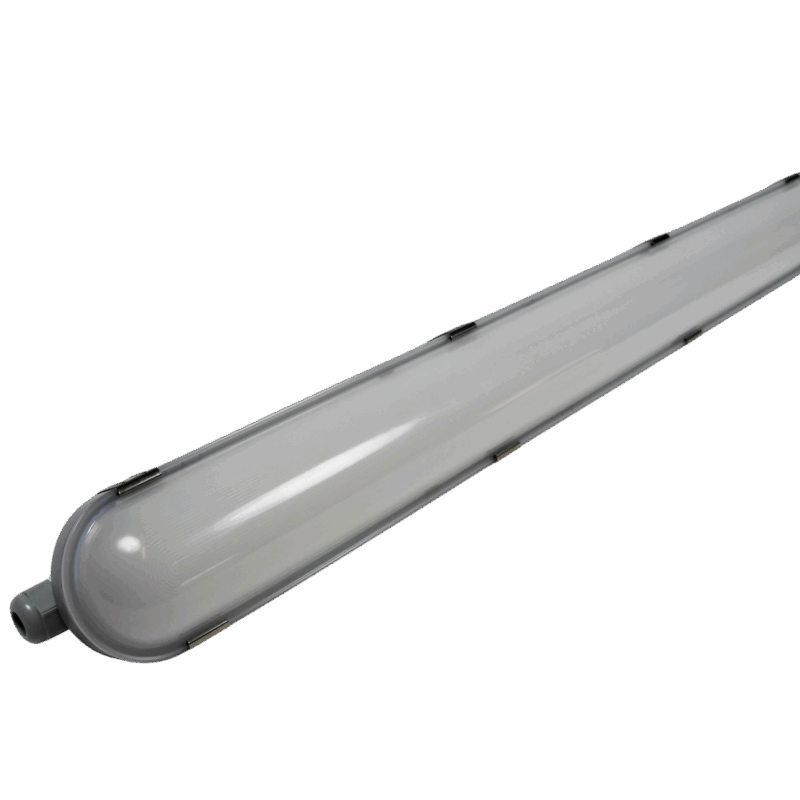 Thumbnail of AQUARIUS